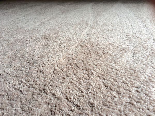 Plush Carpet Installation in Waxhaw