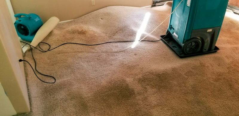Summer Carpet Care